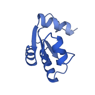 29275_8fld_LO_v1-0
Human nuclear pre-60S ribosomal subunit (State L1)