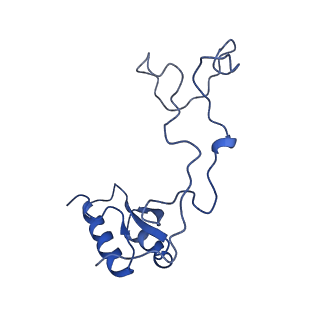 29275_8fld_LQ_v1-0
Human nuclear pre-60S ribosomal subunit (State L1)