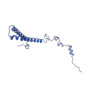 29275_8fld_LS_v1-0
Human nuclear pre-60S ribosomal subunit (State L1)