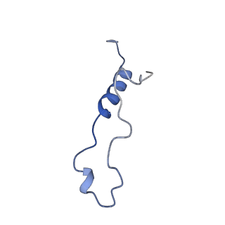 29275_8fld_LZ_v1-0
Human nuclear pre-60S ribosomal subunit (State L1)