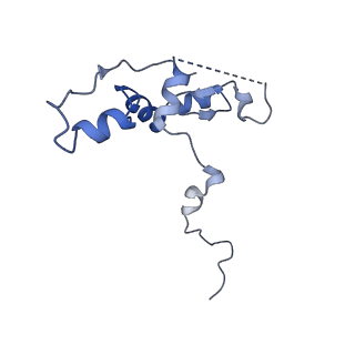 29275_8fld_NP_v1-0
Human nuclear pre-60S ribosomal subunit (State L1)
