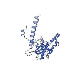 29275_8fld_SB_v1-0
Human nuclear pre-60S ribosomal subunit (State L1)