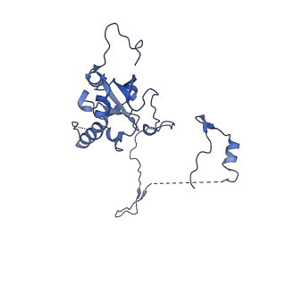 29275_8fld_SC_v1-0
Human nuclear pre-60S ribosomal subunit (State L1)
