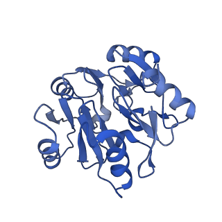 29275_8fld_SK_v1-0
Human nuclear pre-60S ribosomal subunit (State L1)