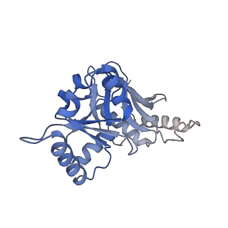 29275_8fld_SL_v1-0
Human nuclear pre-60S ribosomal subunit (State L1)