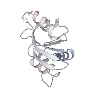 29275_8fld_SQ_v1-0
Human nuclear pre-60S ribosomal subunit (State L1)