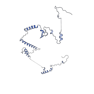 29275_8fld_SR_v1-0
Human nuclear pre-60S ribosomal subunit (State L1)