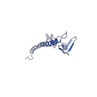 29275_8fld_SV_v1-0
Human nuclear pre-60S ribosomal subunit (State L1)