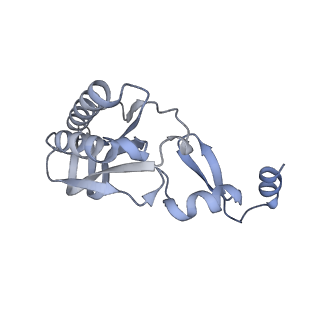 29277_8flf_BE_v1-0
Human nuclear pre-60S ribosomal subunit (State L3)
