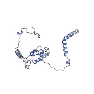 29277_8flf_L6_v1-0
Human nuclear pre-60S ribosomal subunit (State L3)