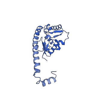 29277_8flf_L7_v1-0
Human nuclear pre-60S ribosomal subunit (State L3)