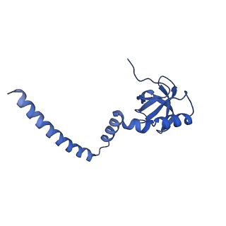 29277_8flf_L8_v1-0
Human nuclear pre-60S ribosomal subunit (State L3)