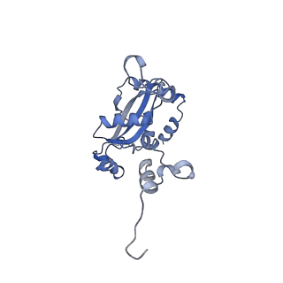 29277_8flf_L9_v1-0
Human nuclear pre-60S ribosomal subunit (State L3)