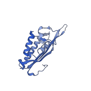 29277_8flf_LA_v1-0
Human nuclear pre-60S ribosomal subunit (State L3)