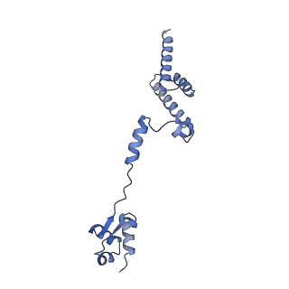 29277_8flf_LD_v1-0
Human nuclear pre-60S ribosomal subunit (State L3)