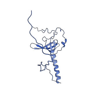 29277_8flf_LE_v1-0
Human nuclear pre-60S ribosomal subunit (State L3)