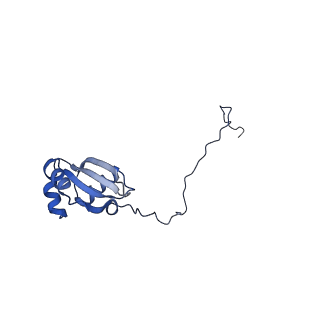 29277_8flf_LH_v1-0
Human nuclear pre-60S ribosomal subunit (State L3)