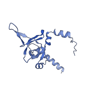 29277_8flf_LI_v1-0
Human nuclear pre-60S ribosomal subunit (State L3)