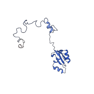 29277_8flf_LK_v1-0
Human nuclear pre-60S ribosomal subunit (State L3)