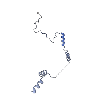 29277_8flf_LM_v1-0
Human nuclear pre-60S ribosomal subunit (State L3)