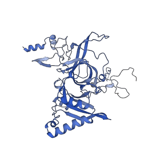29277_8flf_LN_v1-0
Human nuclear pre-60S ribosomal subunit (State L3)