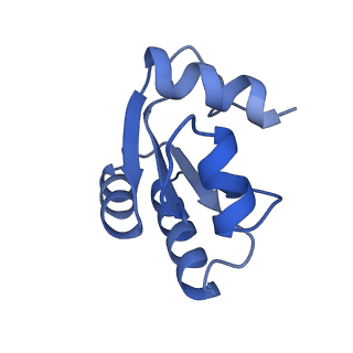 29277_8flf_LO_v1-0
Human nuclear pre-60S ribosomal subunit (State L3)