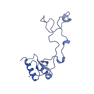 29277_8flf_LQ_v1-0
Human nuclear pre-60S ribosomal subunit (State L3)