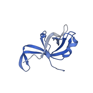 29277_8flf_LT_v1-0
Human nuclear pre-60S ribosomal subunit (State L3)