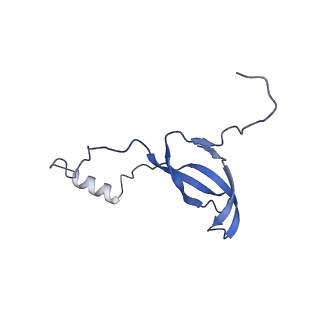 29277_8flf_LV_v1-0
Human nuclear pre-60S ribosomal subunit (State L3)