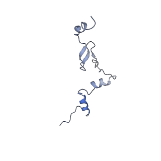 29277_8flf_LW_v1-0
Human nuclear pre-60S ribosomal subunit (State L3)