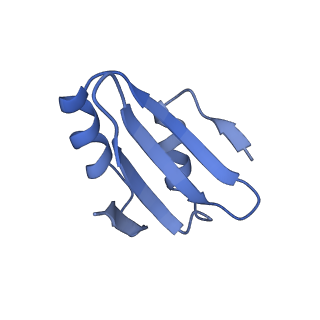 29277_8flf_LY_v1-0
Human nuclear pre-60S ribosomal subunit (State L3)