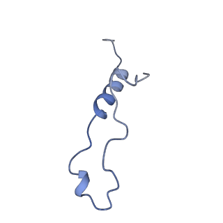 29277_8flf_LZ_v1-0
Human nuclear pre-60S ribosomal subunit (State L3)