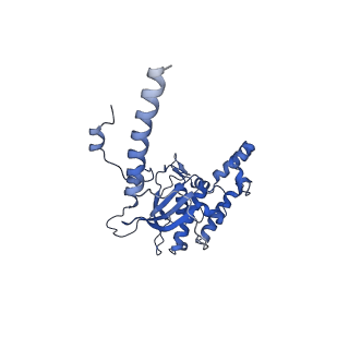 29277_8flf_SB_v1-0
Human nuclear pre-60S ribosomal subunit (State L3)