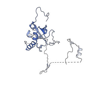29277_8flf_SC_v1-0
Human nuclear pre-60S ribosomal subunit (State L3)