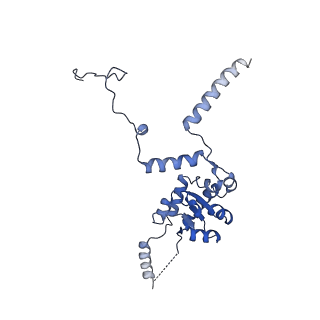 29277_8flf_SE_v1-0
Human nuclear pre-60S ribosomal subunit (State L3)
