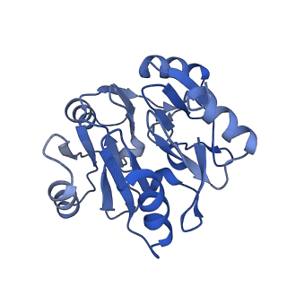 29277_8flf_SK_v1-0
Human nuclear pre-60S ribosomal subunit (State L3)