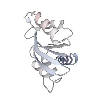 29277_8flf_SQ_v1-0
Human nuclear pre-60S ribosomal subunit (State L3)