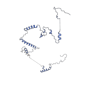 29277_8flf_SR_v1-0
Human nuclear pre-60S ribosomal subunit (State L3)