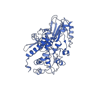29279_8fli_B_v1-1
Cryo-EM structure of a group II intron immediately before branching