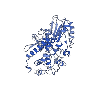 29279_8fli_B_v1-2
Cryo-EM structure of a group II intron immediately before branching