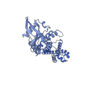 29281_8flk_A_v1-1
Cryo-EM structure of STING oligomer bound to cGAMP and NVS-STG2