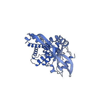 29281_8flk_B_v1-0
Cryo-EM structure of STING oligomer bound to cGAMP and NVS-STG2