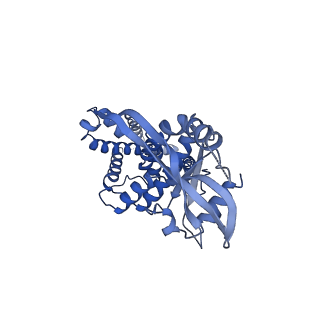 29281_8flk_B_v1-1
Cryo-EM structure of STING oligomer bound to cGAMP and NVS-STG2