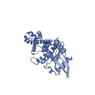 29281_8flk_C_v1-0
Cryo-EM structure of STING oligomer bound to cGAMP and NVS-STG2