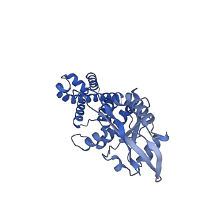 29281_8flk_C_v1-1
Cryo-EM structure of STING oligomer bound to cGAMP and NVS-STG2