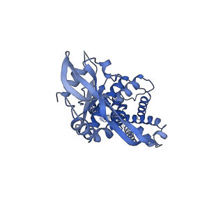 29281_8flk_D_v1-1
Cryo-EM structure of STING oligomer bound to cGAMP and NVS-STG2