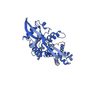 29282_8flm_A_v1-0
Cryo-EM structure of STING oligomer bound to cGAMP, NVS-STG2 and C53