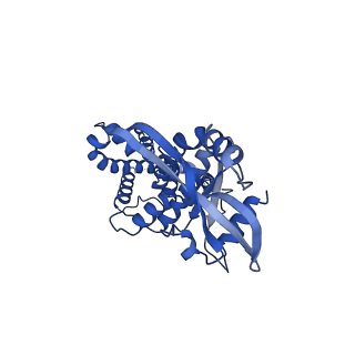 29282_8flm_B_v1-0
Cryo-EM structure of STING oligomer bound to cGAMP, NVS-STG2 and C53