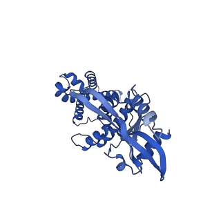 29282_8flm_C_v1-0
Cryo-EM structure of STING oligomer bound to cGAMP, NVS-STG2 and C53