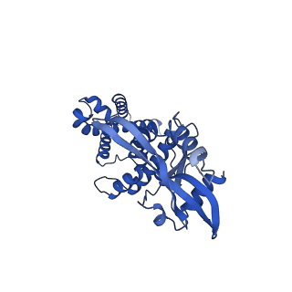 29282_8flm_C_v1-1
Cryo-EM structure of STING oligomer bound to cGAMP, NVS-STG2 and C53